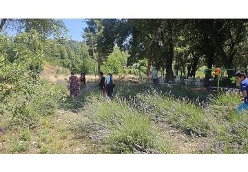 Vatandaşlar Gedelme'nin Mor Güzelliğiyle Buluştu