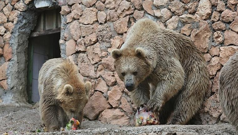 Doğal Yaşam Parkı'nda serinleten öğün uygulaması