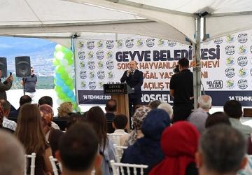 Geyve'de Sokak Hayvanları İçin de Yeni Dönem Başladı