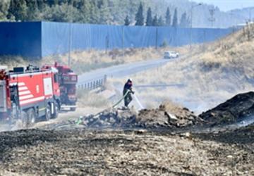 İzmir İtfaiyesi bukalemunu hayata döndürdü