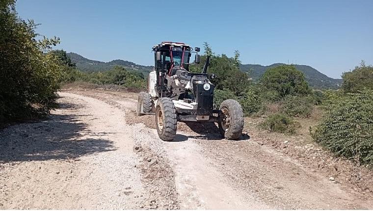 Kandıra Belediyesi'nden Fındık Hasadı Öncesi Üreticiye Yol Desteği
