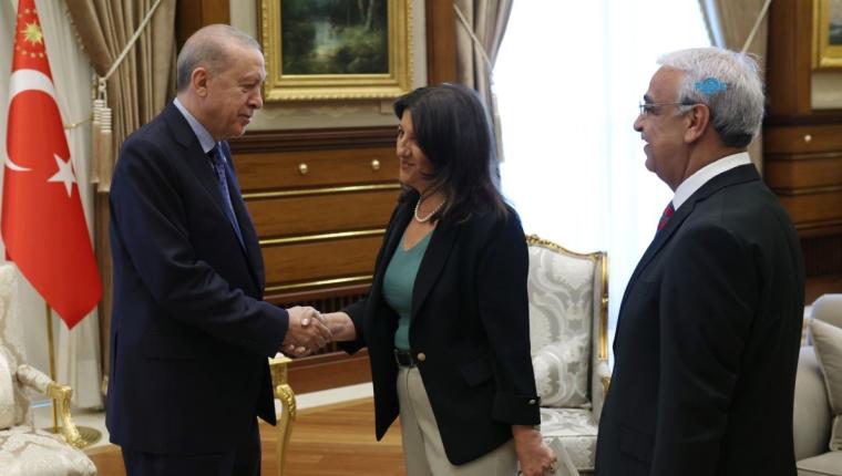 DEM Parti İmralı Heyeti: Sürecin kararlılıkla sürdürülmesine ilişkin ortak irade teyit edildi