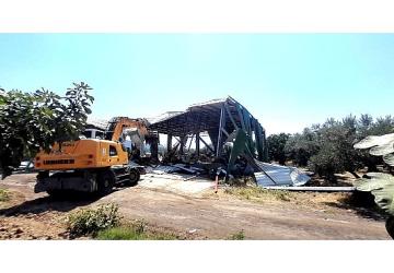Osmangazi'de Zeytinliğe Yapılan Kaçak Depoya İzin Yok