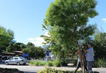 Büyükşehir Belediyesi'nden Demre'de sel mesaisi