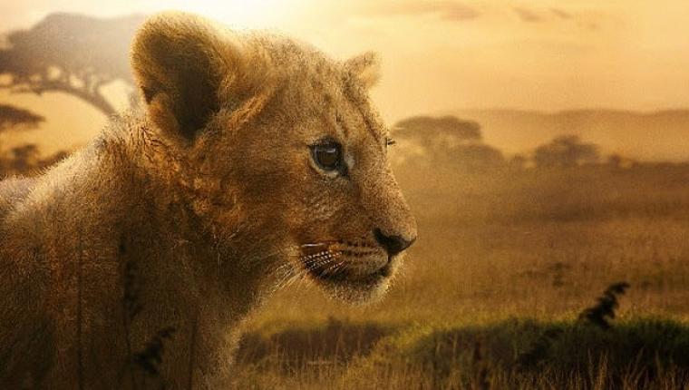 4 Bölümlük Belgesel Seri “Aslan Kralın Doğuşu" 19 ve 26 Ağustos Çarşamba Günleri 20.00'de İki Bölüm Art Arda National Geographic Ekranlarına Geliyor