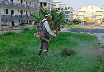 Didim Belediyesi kent genelinde ot biçme ve budama çalışmalarını sürdürüyor