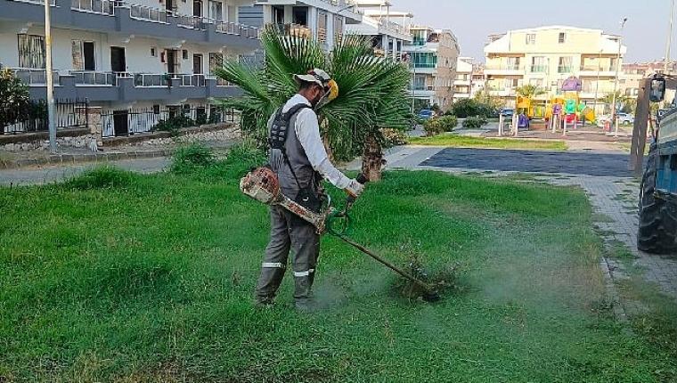 Didim Belediyesi kent genelinde ot biçme ve budama çalışmalarını sürdürüyor