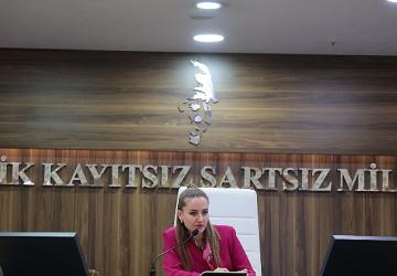 Başkan Vekili Özdemir'den Altıntaş açıklaması