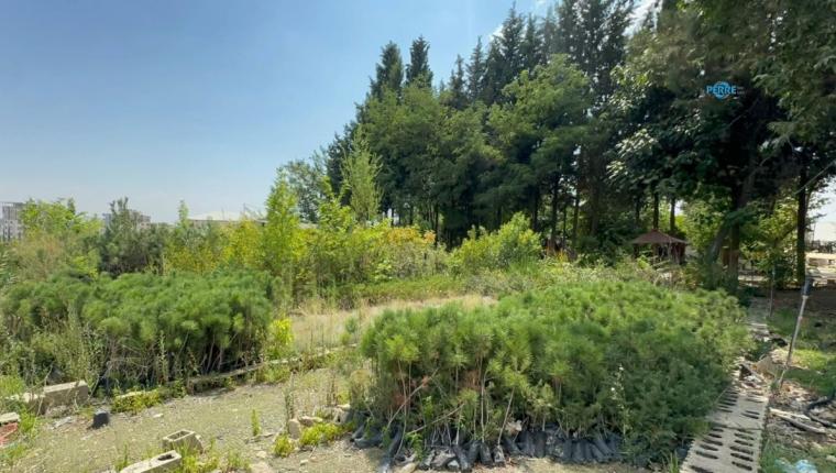 Tutdere’den ‘Yeşil Adıyaman’ hamlesi: 4 bin ağaç cadde, park ve refüjlerle buluşacak - Videolu Haber