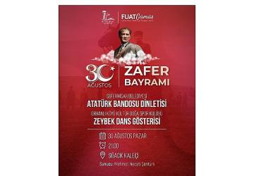 Yolunu kaybeden yavru yunusu İstanbul İtfaiyesi kurtardı