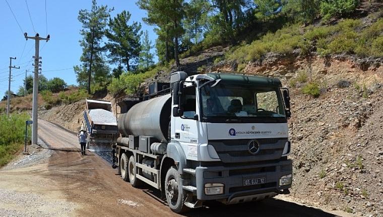 Yolunu kaybeden yavru yunusu İstanbul İtfaiyesi kurtardı