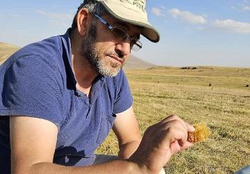 Kafkas Arısı için alarm zilleri çalıyor