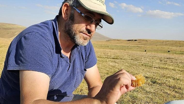 Kafkas Arısı için alarm zilleri çalıyor