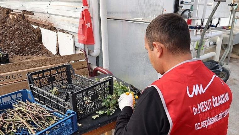 Keçiören Belediyesi Serasında Özel Bireyler İçin “Dijital Detoks" Etkinliği