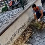 Burhaniye'de Mazgal Temizliği Çalışmaları Titizlikle Sürüyor