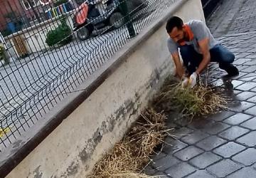 Burhaniye'de Mazgal Temizliği Çalışmaları Titizlikle Sürüyor
