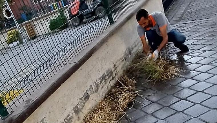 Burhaniye'de Mazgal Temizliği Çalışmaları Titizlikle Sürüyor