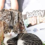 7. Kadıköy Çizgi Festivali Başlıyor