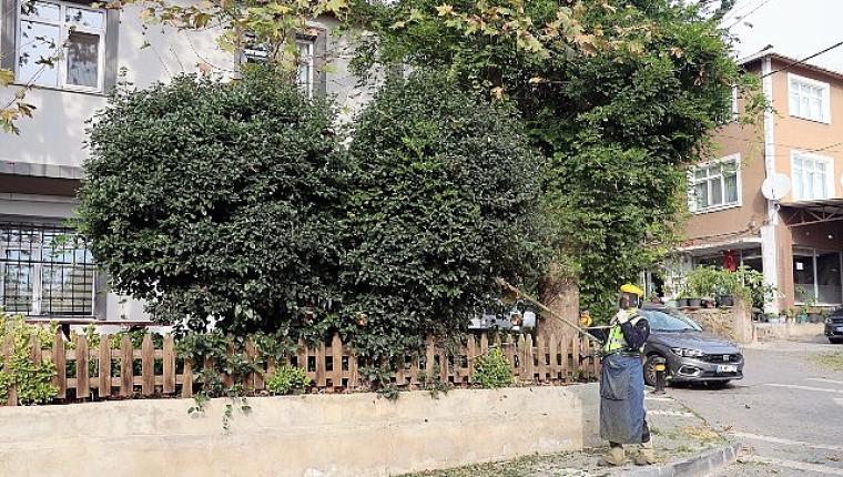 Maltepe Belediyesi'nden Büyükbakkalköy'de kapsamlı temizlik çalışması