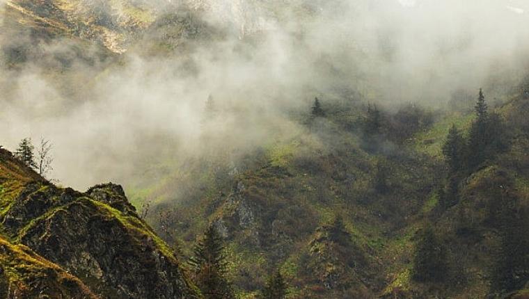 4 Bölümden Oluşan 'Vahşi Karpatlar', 26 Eylül Cumartesi Saat 20.00'de Art Arda Tüm Bölümleriyle National Geographic WILD Ekranlarında!