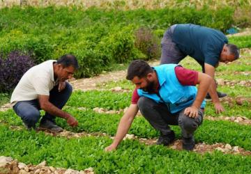 Adıyaman’da belediye ve kadın kooperatifinin üretim merkezinde sonbahar mesaisi
