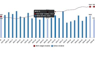 Dış Ticaret Endeksleri, Ağustos 2026