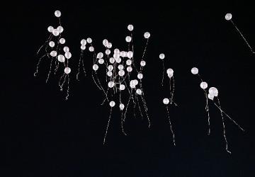 Gökyüzüne pembe balon bıraktılar