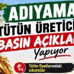 ADIYAMAN (PERRE) - (Şeriban ÖZÇAKMAK) - Adıyaman'daki tütün üreticileri, tütün fiyatlarında yaşanan sıkıntılar, firmaların alım noktalarındaki fiyat düşüklükleri ve tütüne yönelik firmalardan kaynaklandığı belirtilen ger...