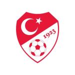 ANKARA (PERRE) - (Emrah PARLAR) - Türkiye Futbol Federasyonu (TFF), A Milli Futbol Takımı Teknik Direktörlüğüne Sergen Yalçın'ın getirildiğini açıkladı.