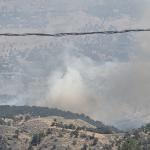 ADIYAMAN (PERRE) - Adıyaman'ın Gerger ilçesinde, ormanlık alanda çıkan paniğe neden olurken, yangın havadan ve karadan kontrol altına alınmaya çalışılıyor.