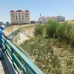 ADIYAMAN (PERRE) - (Şeriban ÖZÇAKMAK) - Adıyaman Belediyesi Park ve Bahçeler Müdürlüğü ekipleri, yaz aylarında artış gösteren sivrisinek ve diğer haşerelere karşı kent genelinde ilaçlama çalışmalarını aralıksız sürdürüyo...