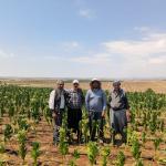 ADIYAMAN (PERRE) - (Şeriban ÖZÇAKMAK) - Tütün üreticisi İrfan Aşuk, tütün alımlarında bölgelere göre farklı fiyat, prim ve avans uygulandığını savunarak üreticiler arasında eşitlik sağlanması çağrısında bulundu.
