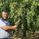 ADIYAMAN (PERRE) - (Şeriban ÖZÇAKMAK) - Kahta Ziraat Odası Başkanı Rüştü Turanlı ile Adıyaman Ticaret ve Sanayi Odası Meclis Başkanı ve Tarım Komisyonu Başkanı Abdulgani Bereket, badem fiyatlarındaki belirsizliğin gideri...