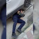 ADIYAMAN (PERRE) - Adıyaman'da, otomobilin motor kısmına giren yavru kedi itfaiye ekipleri tarafından kurtarıldı.