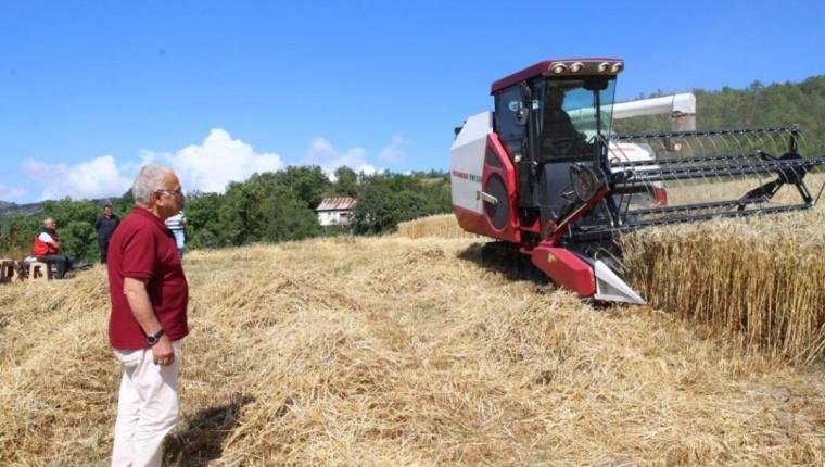 Ordu’da Buğday Hasadında Yeni Dönem: Paletli Biçerdöver Tarlada